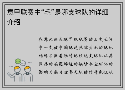 意甲联赛中“毛”是哪支球队的详细介绍