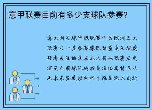 意甲联赛目前有多少支球队参赛？