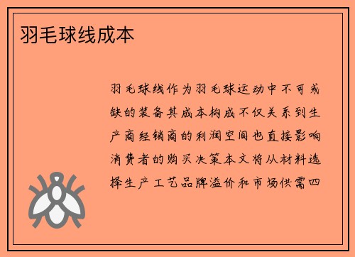羽毛球线成本